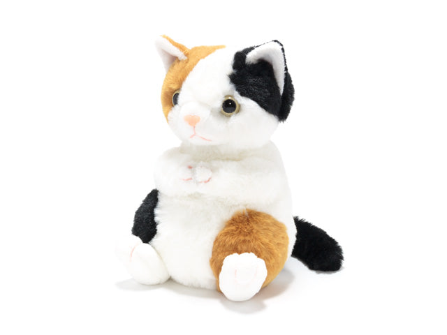 《カスタムモデル》So This Is Love (これが恋かしら-シンデレラ-) JERRY LIVINGSTON【MM801K+BBN】