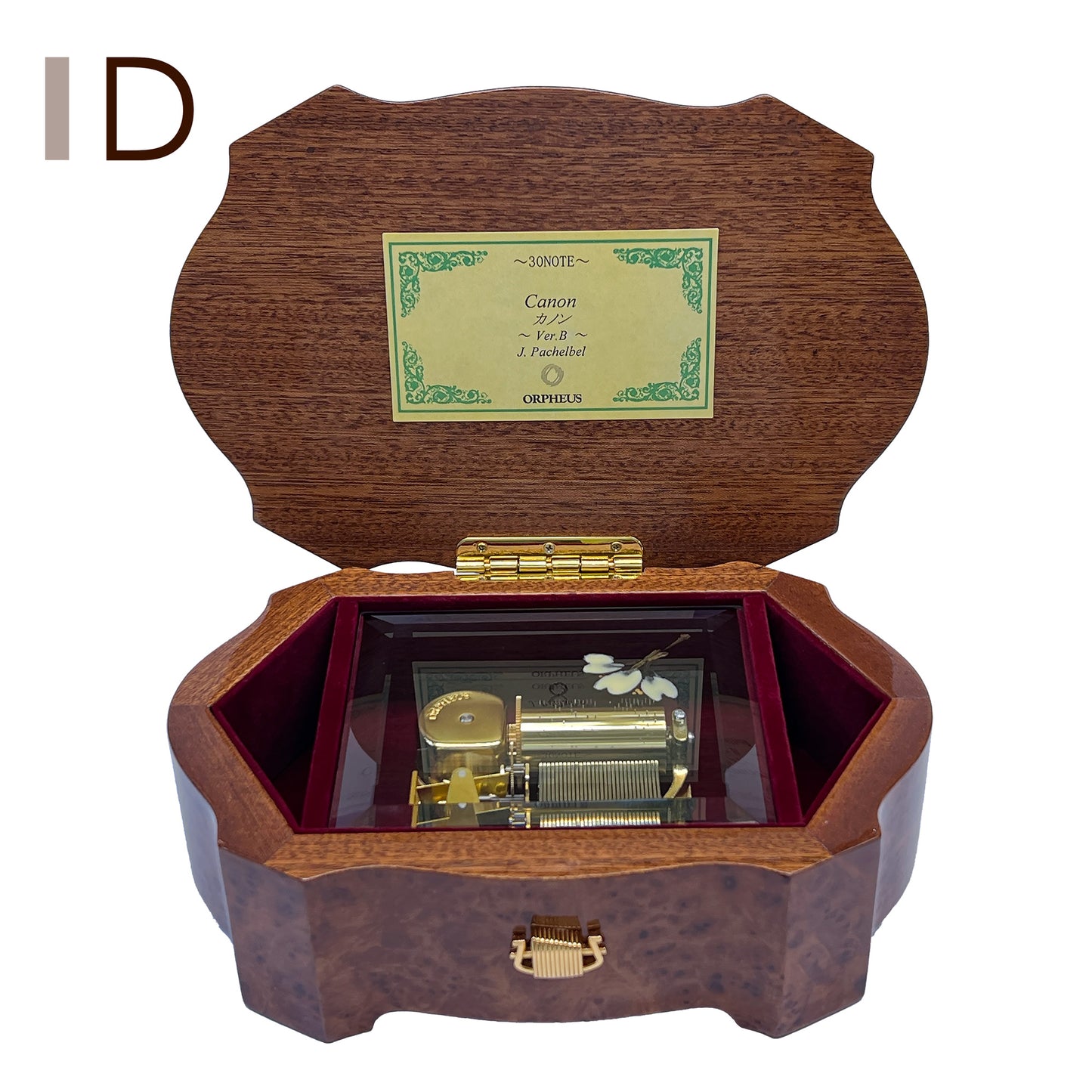 【YB923】さくらのものがたり ブラウン