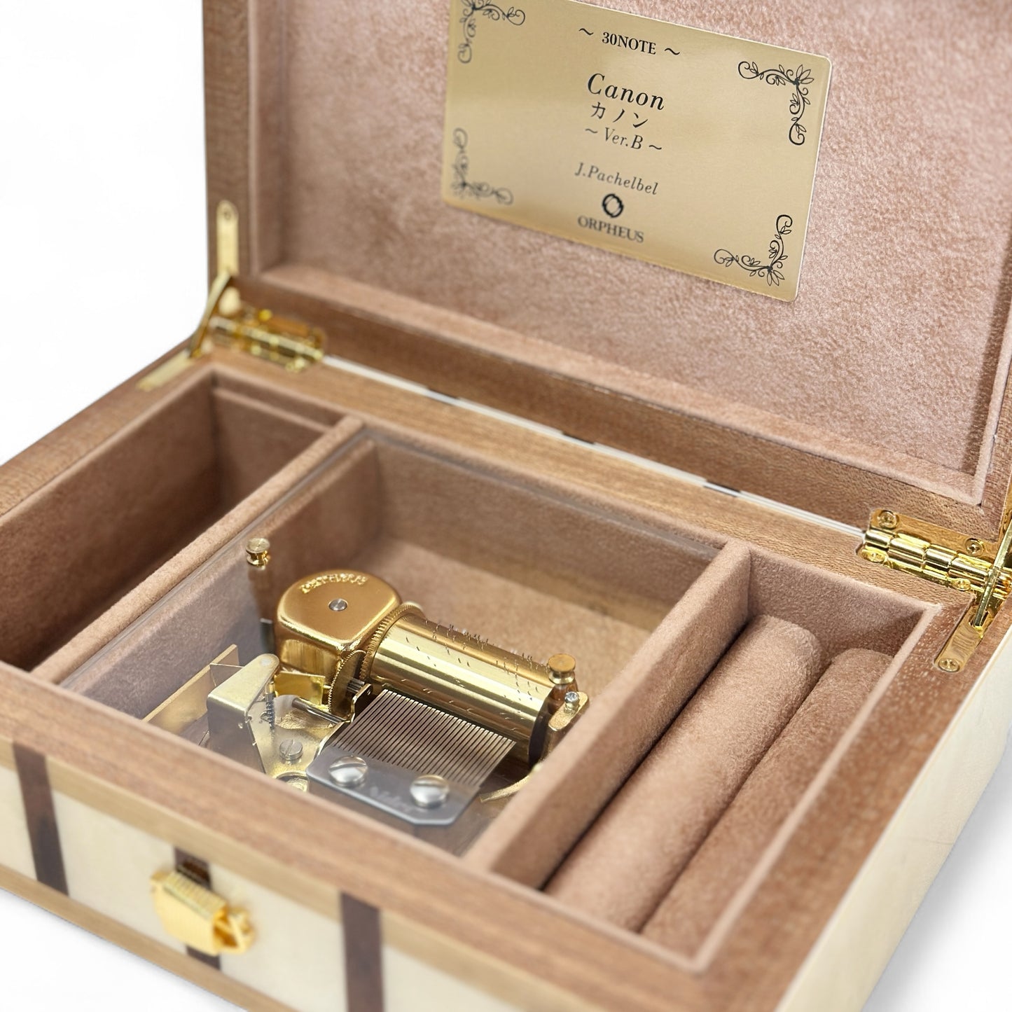 【平日営業日午前中のご注文で即日発送】オルフェウス30弁 パッヘルベルのカノン EX190I+HKK