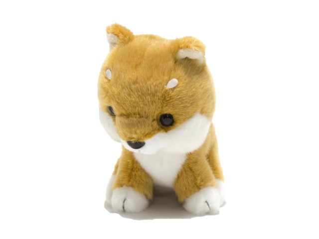 《カスタムモデル》わが人生に悔いなし 加藤登紀子 石原裕次郎【MM801K+BAF】