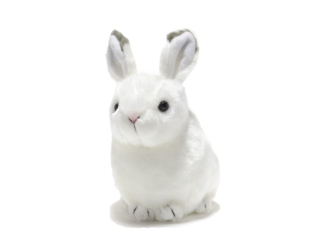 《カスタムモデル》 Peter Cottontail J.Rollins【MM801K+S3】