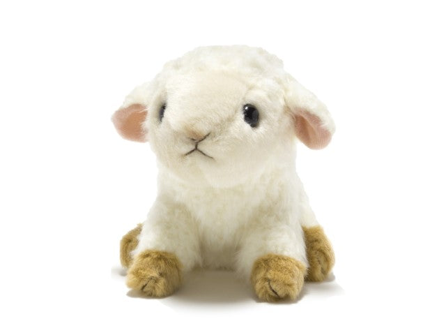 小さい羊が SALVATORO FERRETTI【MM801+DUS】