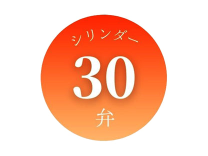 30弁シリンダーオルゴールムーブメント